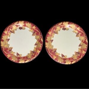 2 VTG Crate & Barrel VOLANTE 8 7/8” Salad Plates NWT